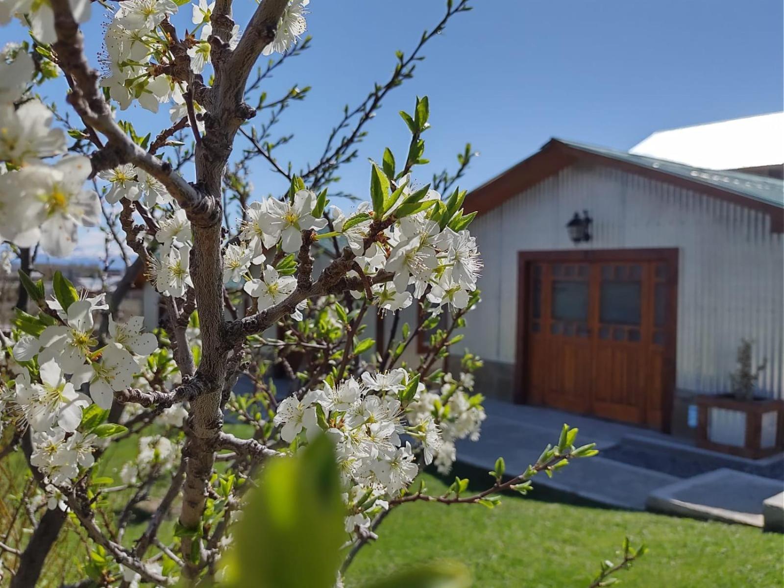 Cabanas Ventalia เอลกาลาฟาเต ภายนอก รูปภาพ